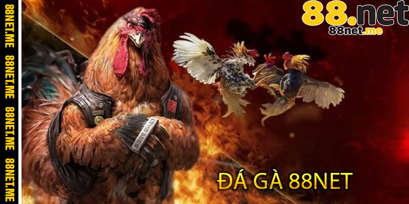 Đá Gà 88NET
